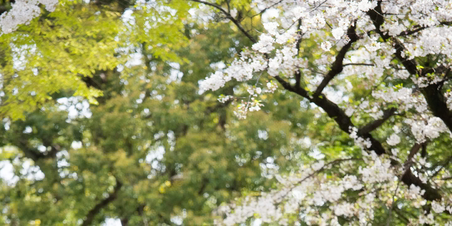 Tokyo: Lawatan Foto Perkahwinan dengan 3 Lokasi & Penggayaan Profesional